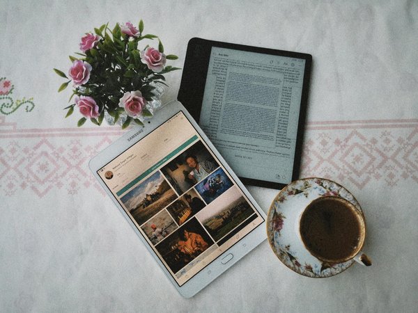 Schaffen Sie ein wirkungsvolles Patenschaftsprojekt für bedrohte Tierarten: Ihr umfassender Erfolgskompass